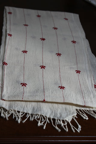 Kala Cotton Hand Embroidered Scarf